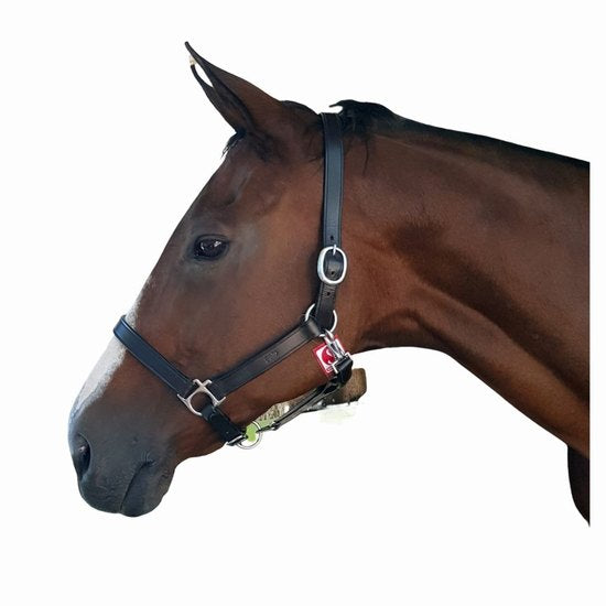 Halter Leather Solo