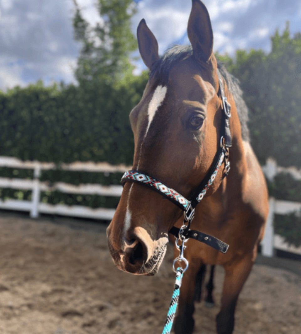 Halter lexi beaded with lead