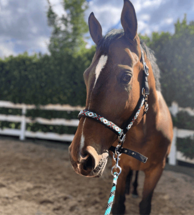 Halter lexi beaded with lead