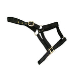 Halter nylon lexi