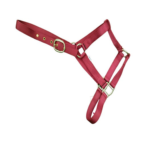 Halter nylon lexi