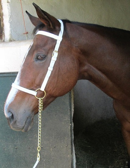 Halter show pvc white with lead