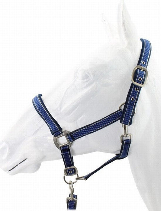 Halter zebra design padded with lead cob