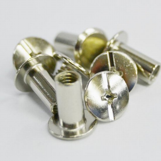 Inter screw 10mm silver per 10