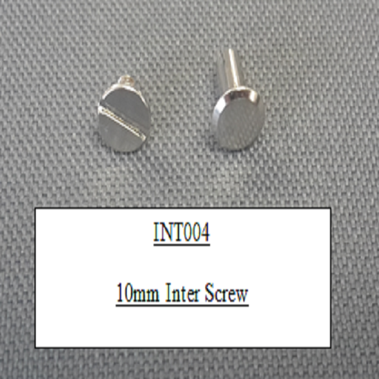 Inter screw 10mm silver per 10