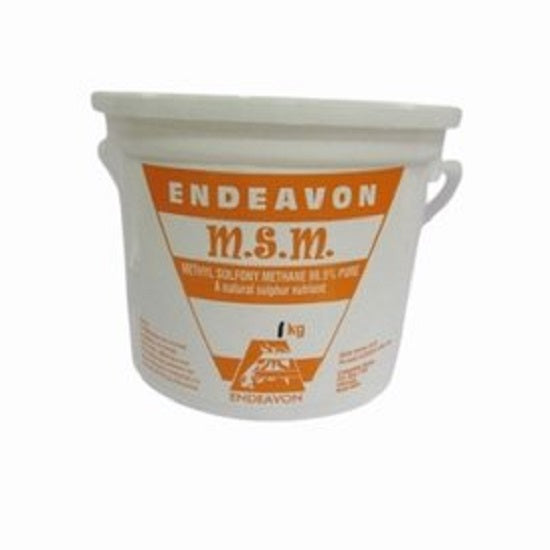MSM Endeavon 1kg