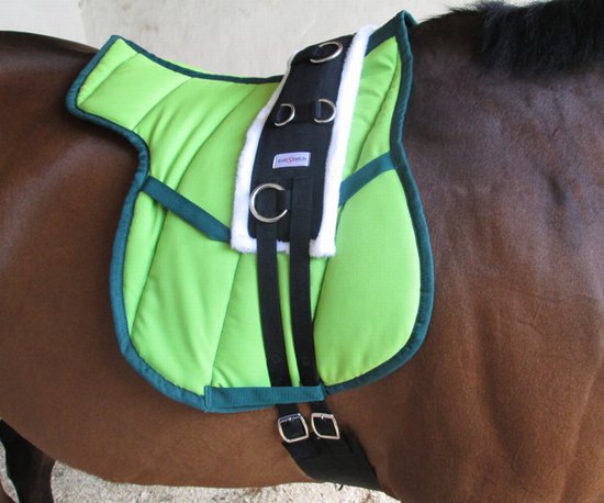 Lunge roller everstretcher