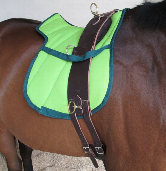 Lunge roller leather