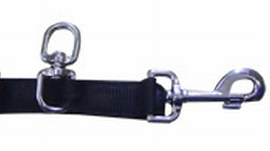 Lungeing converter