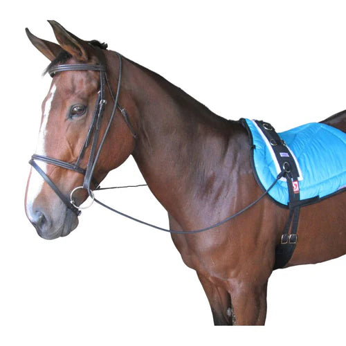 Neck stretcher