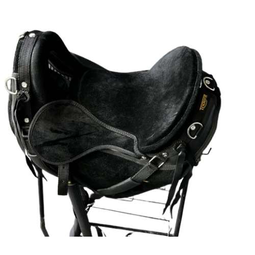 Pegasus saddle endurance trail