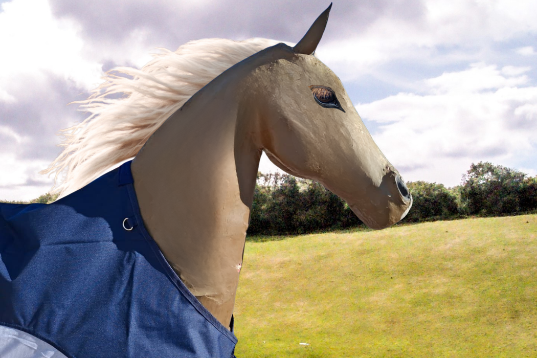 Rain and fly  protection blanket combo navy and white