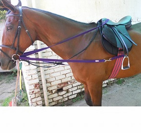 Reins running with buckles| draw reins