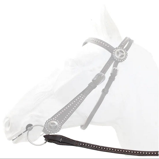 Reins western 026