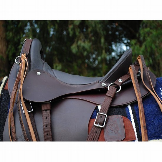 Saddle trail ranger 2.0