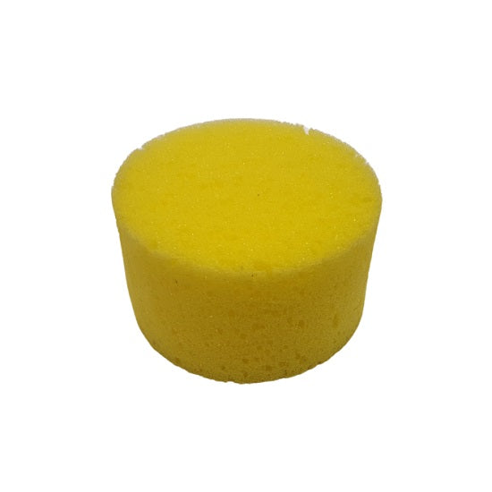 Sponge sea round