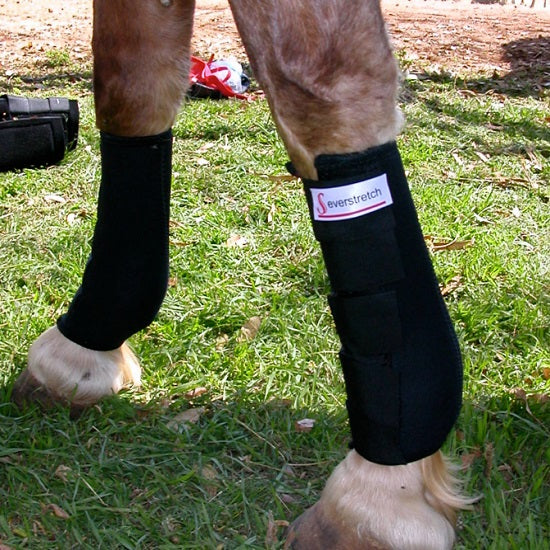 Tendon and  ankle boot
