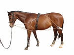 Training aid capriole