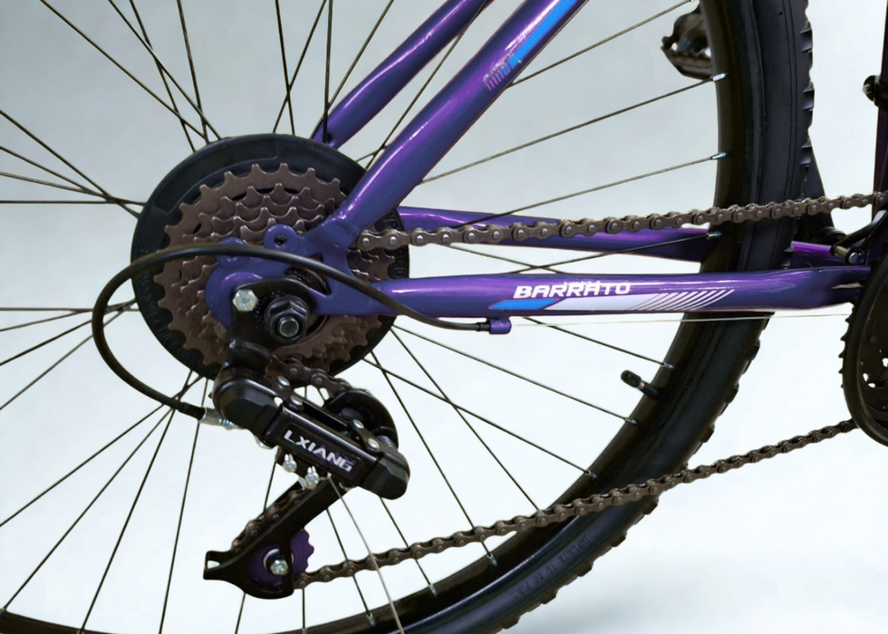 Barrato 24 inch MTB Ladies bike