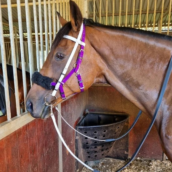 Clip round for endurance bridle reins