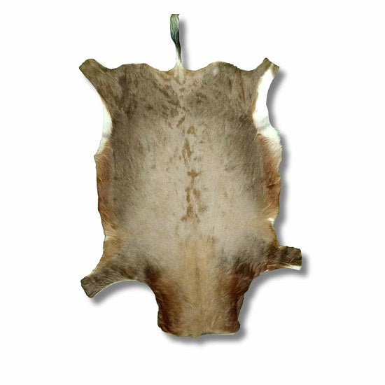 Blesbok skin