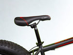 Planet Fat Bike 26"