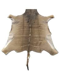 Kudu skin