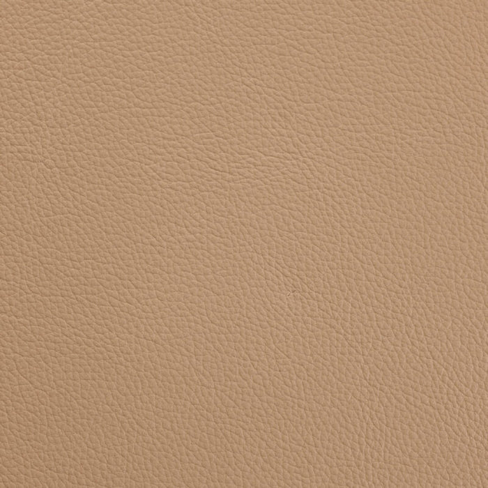 Mopanie leather taupe per square