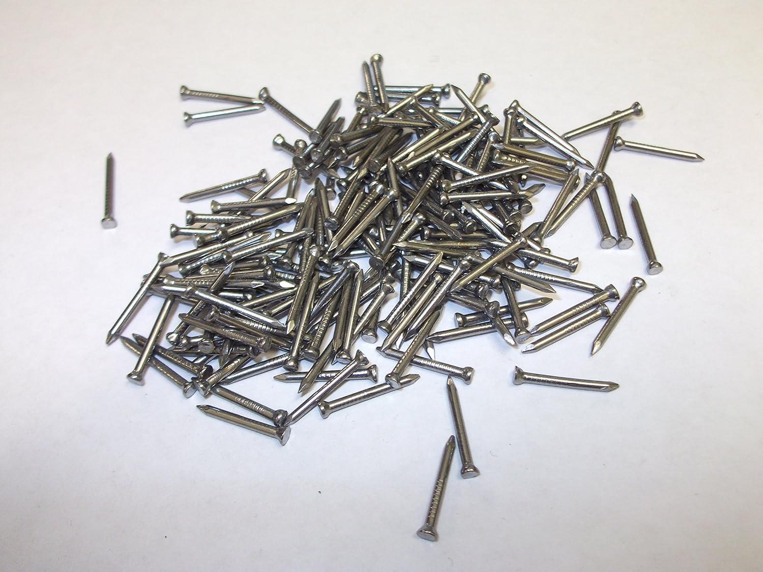 Nails panel pin 13mm new b2
