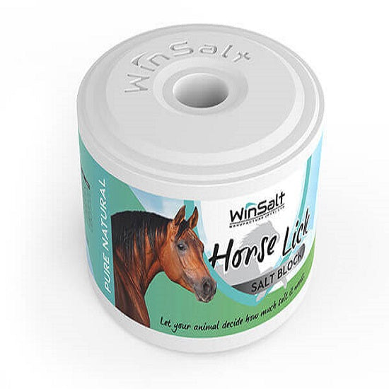 Winsalt block equine pure natural salt 2kg