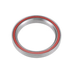 Sealed Bearing