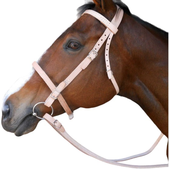 Bridle Farm with a Snaffle Bit