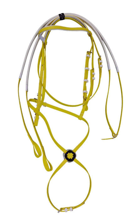 Bridle Biothane Grackle Noseband + Reins Solo