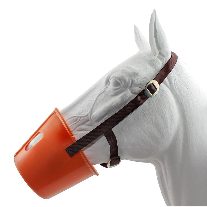 Plastic webbing with 4 webbing strap