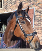 Bridle anatomic padded
