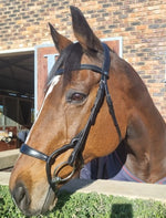 Bridle anatomic rolled