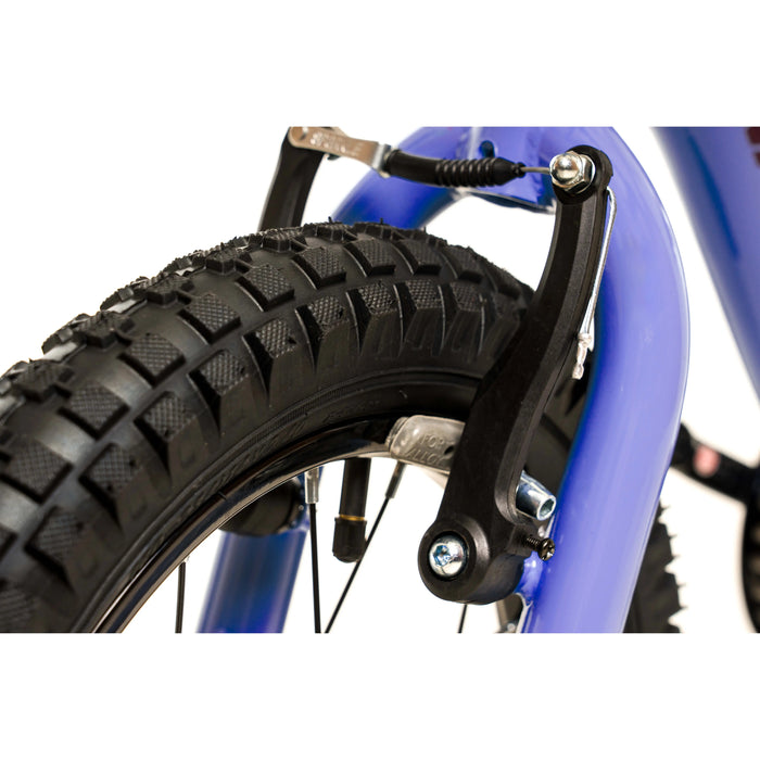 AVALANCHE SHINE 14" GIRLS LILAC/INDIGO