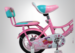 Bicycle 12 inch girls full house pink and turqoise