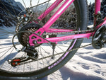 Planet Bicycle - Trendy MTB 26'' Bicycle Pink
