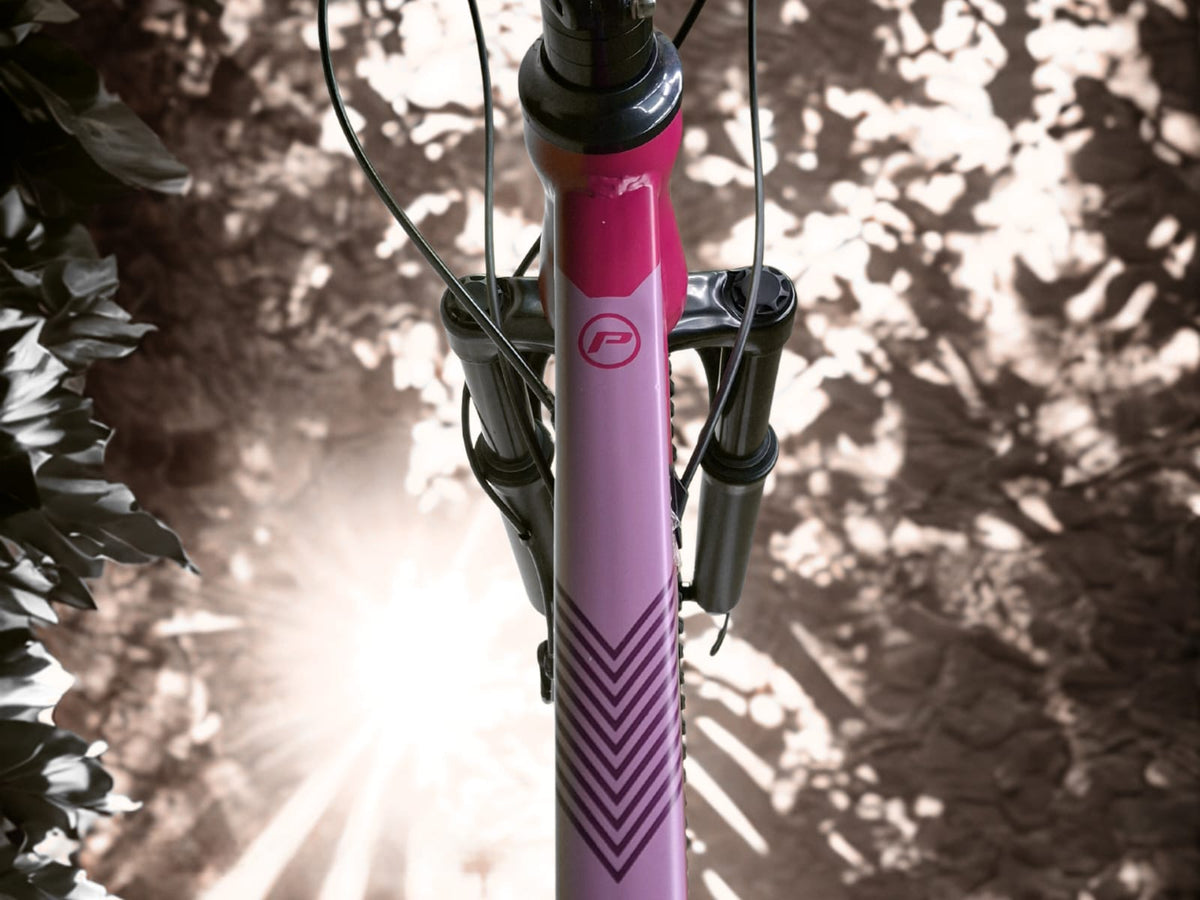 Planet Bicycle - Trendy MTB 26'' Bicycle Pink