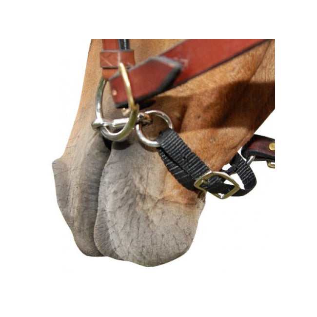 Bit Innovative Equestrian Pee Wee Bit