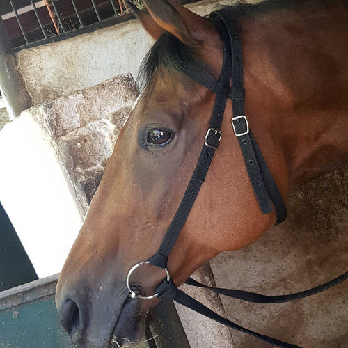 Bridle nylon work