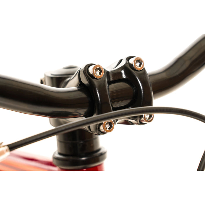 AVALANCHE TURBO 14" BOYS BURGUNDY/ORANGE