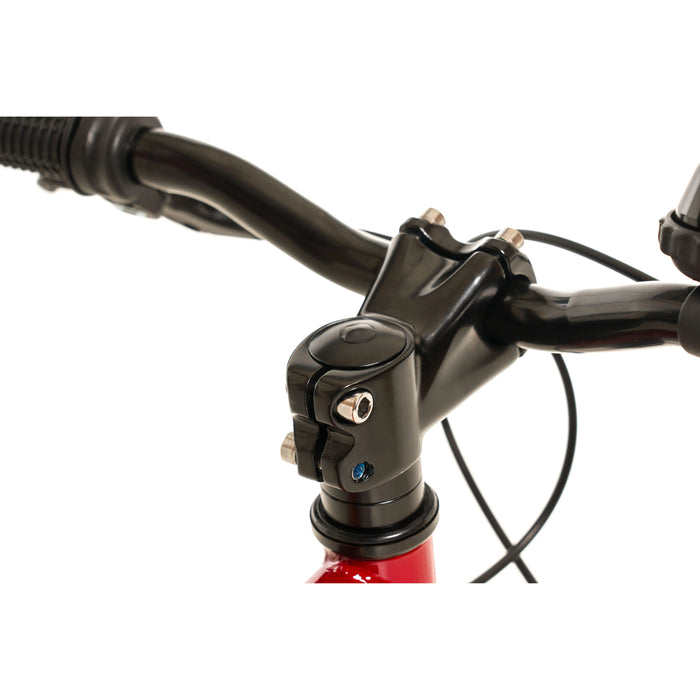 AVALANCHE TURBO 14" BOYS BURGUNDY/ORANGE