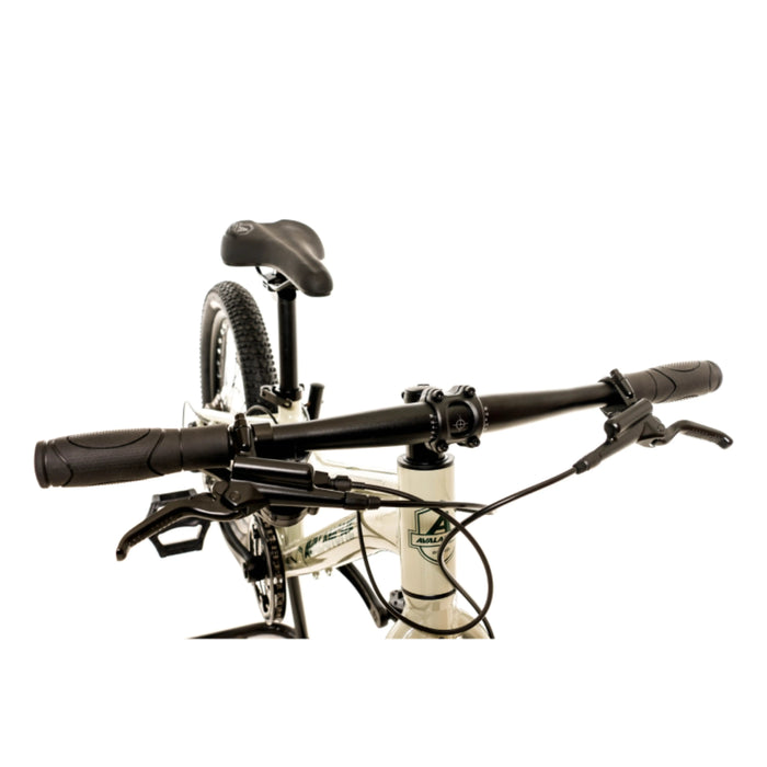 AVALANCHE FLASH 20" DISC GREEN/EMERALD