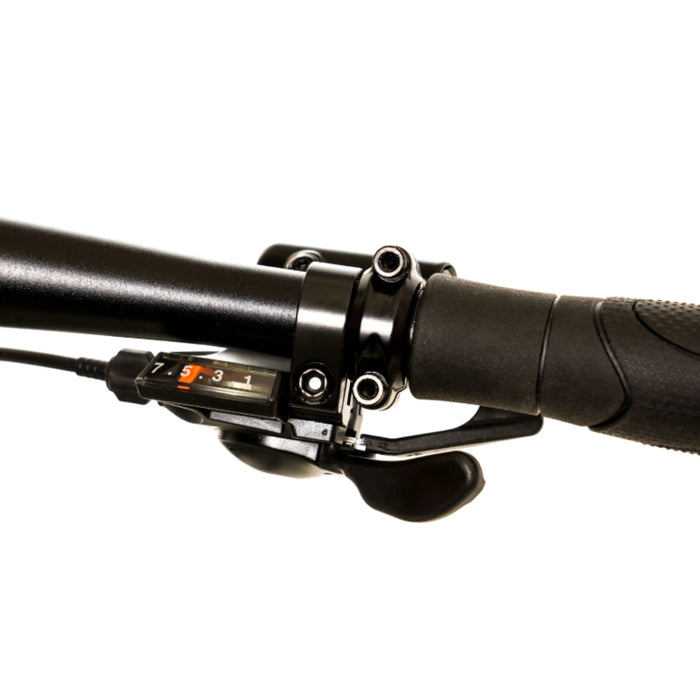 AVALANCHE FLASH 20" DISC GREEN/EMERALD