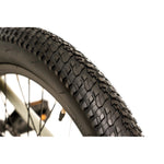 AVALANCHE FLASH 20" DISC GREEN/EMERALD