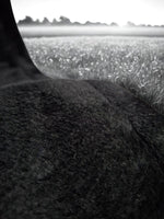 Ridepro Girth with Fur with SS Buckles