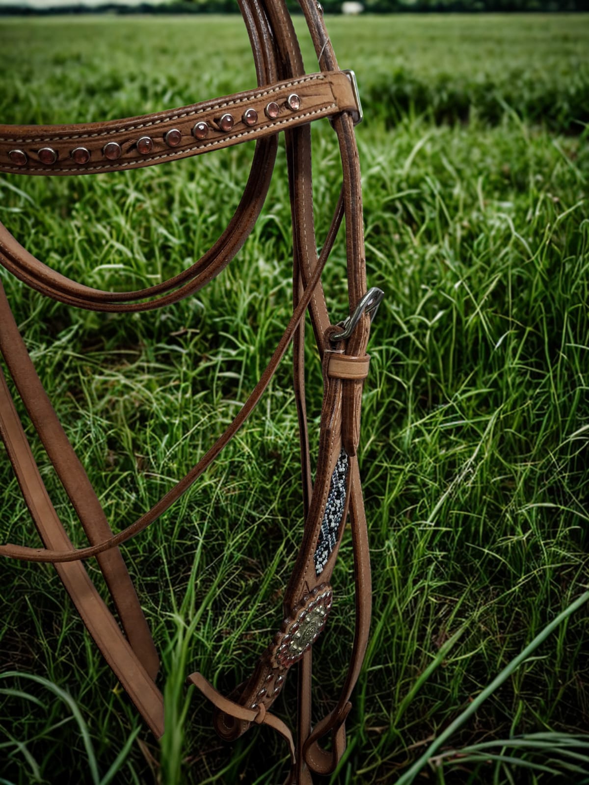 Bronco Western Bridle Beaded and Stones With Reins