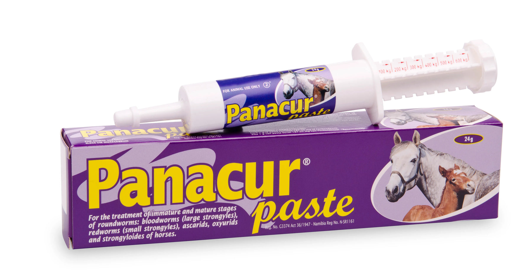 Panacur Equine Wormer Paste 24g with Fenbendazole Broad-Spectrum Dewormer